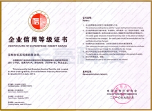 2010年中国软件服务业信用企业出炉 龙8-long8科技荣获AAA级评价